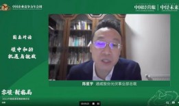 董祥爆料陈星宇视频,真相与争议并存